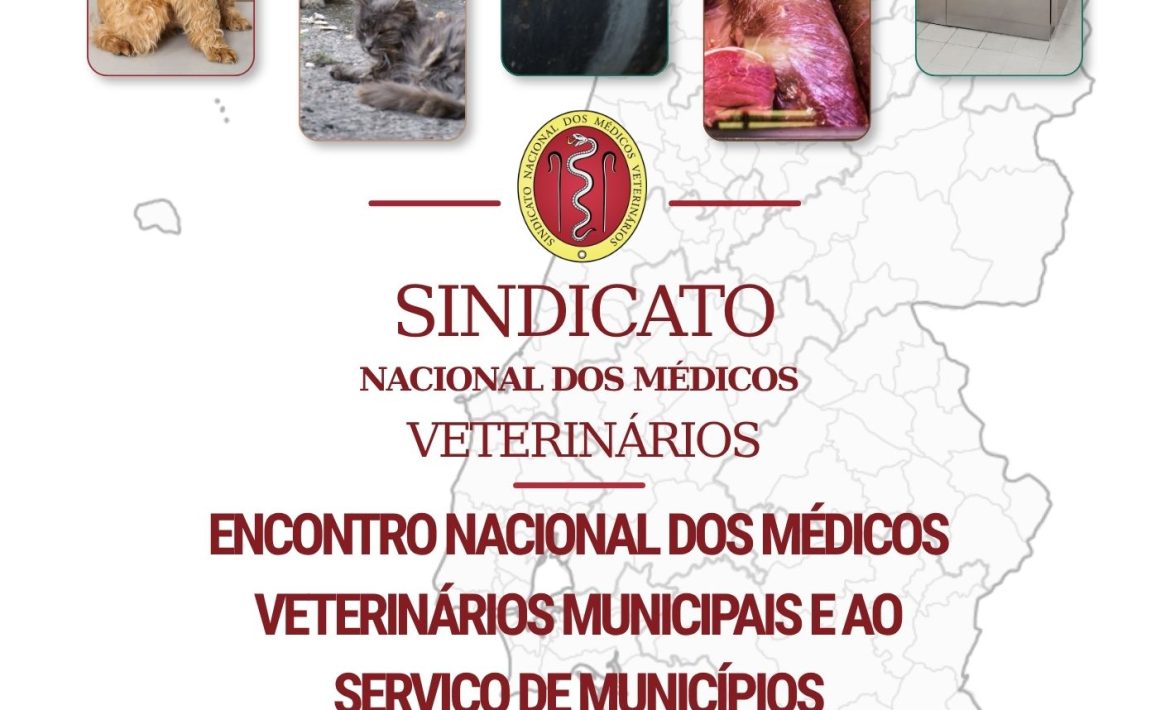 cartaz_7denovembro_ENMVMSM
