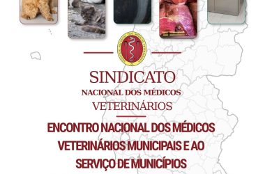 cartaz_7denovembro_ENMVMSM