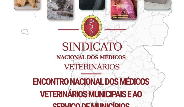 cartaz_7denovembro_ENMVMSM