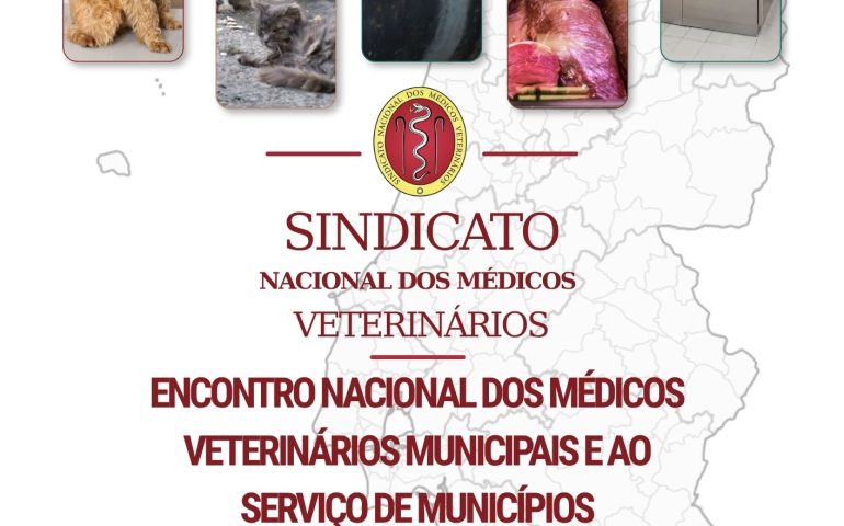 Cartaz_7_nove cartaz_7denovembro_ENMVMSM