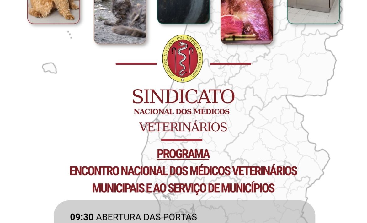 PROGRAMA_ENMVMSM