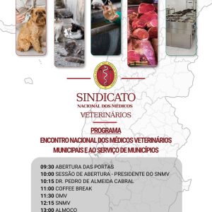 PROGRAMA_ENMVMSM