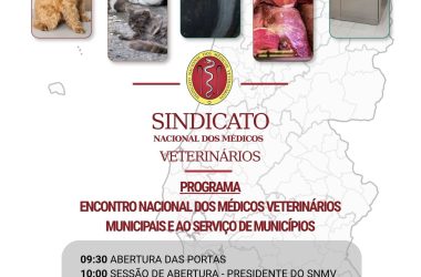 PROGRAMA_ENMVMSM