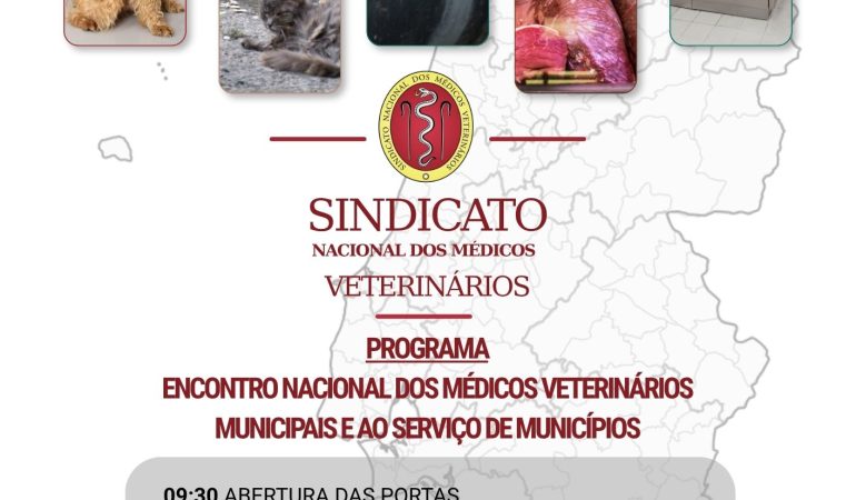 PROGRAMA_ENMVMSM